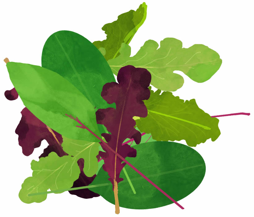 活き野菜プロジェクト