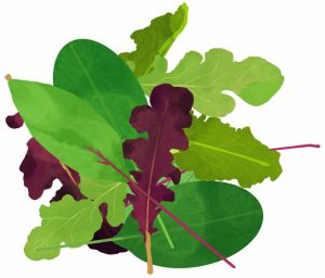 活き野菜プロジェクト